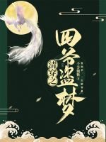 清穿之四爺盜夢